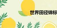 世界田徑錦標賽
