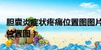 膽囊炎癥狀疼痛位置圖圖片(膽囊炎癥狀疼痛位置圖)