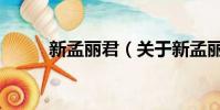新孟麗君(關于新孟麗君的簡介)