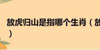 放虎歸山是指哪個生肖(放虎歸山是什么生肖)