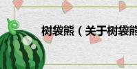 樹袋熊(關于樹袋熊的簡介)