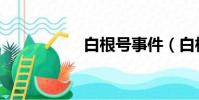 白根號事件(白根號)