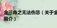 金三角之無法傷悲(關于金三角之無法傷悲的簡介)