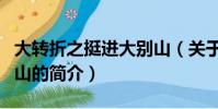 大轉折之挺進大別山(關于大轉折之挺進大別山的簡介)