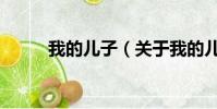 我的兒子(關于我的兒子的簡介)