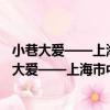 小巷大愛——上海市中心城區社會組織新聞視點（關于小巷大愛——上海市中心城區社會組織新聞視點簡介）
