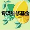 專項維修基金是什么意思（基金是什么意思）