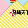 馬蠅天下（關于馬蠅天下的簡介）
