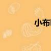 小布叮（關于小布叮簡介）