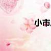 小市莊（關于小市莊簡介）