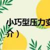 小巧型壓力變送器（關于小巧型壓力變送器簡介）