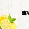 潔癖（關于潔癖的簡介）