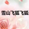 雪山飛狐飛狐外傳分別（雪山飛狐飛狐外傳）