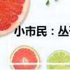 小市民：叢刊（關于小市民：叢刊簡介）