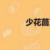 少花茴芹（關于少花茴芹簡介）