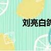 劉亮白鴿（關于劉亮白鴿的簡介）