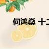 何鴻燊 十二生肖（何鴻燊屬什么生肖）