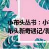 小布頭叢書：小布頭新奇遇記/新版（關于小布頭叢書：小布頭新奇遇記/新版簡介）