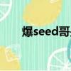 爆seed哥是什么電視劇（爆seed哥）