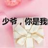 少爺，你是我的（關于少爺，你是我的簡介）