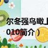 爾冬強鳥瞰上海2010（關于爾冬強鳥瞰上海2010簡介）
