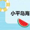 小平島海第（關于小平島海第簡介）