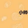 小帥哥（關于小帥哥簡介）