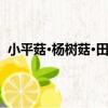 小平菇·楊樹菇·田頭菇（關于小平菇·楊樹菇·田頭菇簡介）