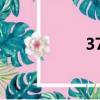 377美白精華（377）