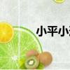 小平小道（關于小平小道簡介）