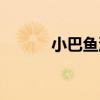 小巴魚湯（關于小巴魚湯簡介）
