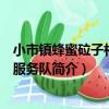 小市鎮蜂蜜砬子村志愿服務隊（關于小市鎮蜂蜜砬子村志愿服務隊簡介）