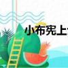小布憲上士（關于小布憲上士簡介）