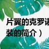 片翼的克羅諾斯武裝（關于片翼的克羅諾斯武裝的簡介）