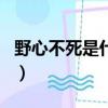野心不死是什么生肖呢（野心不死是什么生肖）