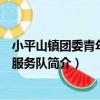 小平山鎮團委青年志愿服務隊（關于小平山鎮團委青年志愿服務隊簡介）