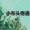 小布頭奇遇記（關于小布頭奇遇記簡介）
