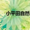 小平田自然村（關于小平田自然村簡介）