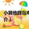 小巽他群島壽帶鳥（關于小巽他群島壽帶鳥簡介）