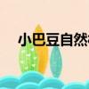 小巴豆自然村（關于小巴豆自然村簡介）