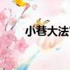 小巷大法官（關于小巷大法官簡介）