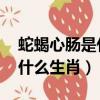 蛇蝎心腸是什么生肖 百度網盤（蛇蝎心腸是什么生肖）
