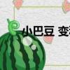 小巴豆 變種（關于小巴豆 變種簡介）