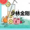 少林金剛門（關于少林金剛門簡介）