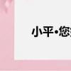 小平·您好（關于小平·您好簡介）