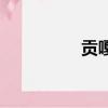 貢嘎（關于貢嘎的簡介）
