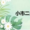 小市二條（關于小市二條簡介）
