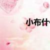 小布什傳（關于小布什傳簡介）