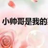 小帥哥是我的菜（關于小帥哥是我的菜簡介）