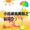 小巫婆真美麗之飛向彩虹谷（關于小巫婆真美麗之飛向彩虹谷簡介）